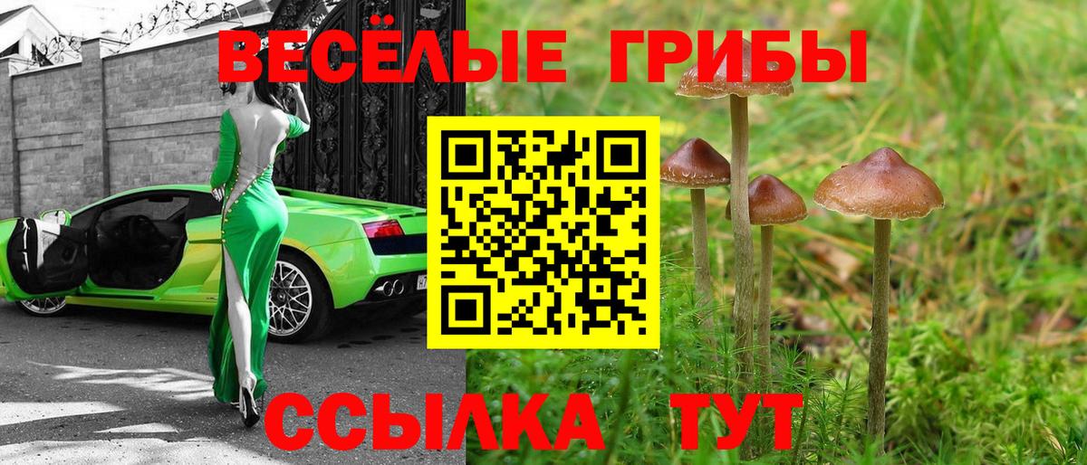 Псилоцибиновые грибы прущие грибы  Вход с VPN  Амурск 