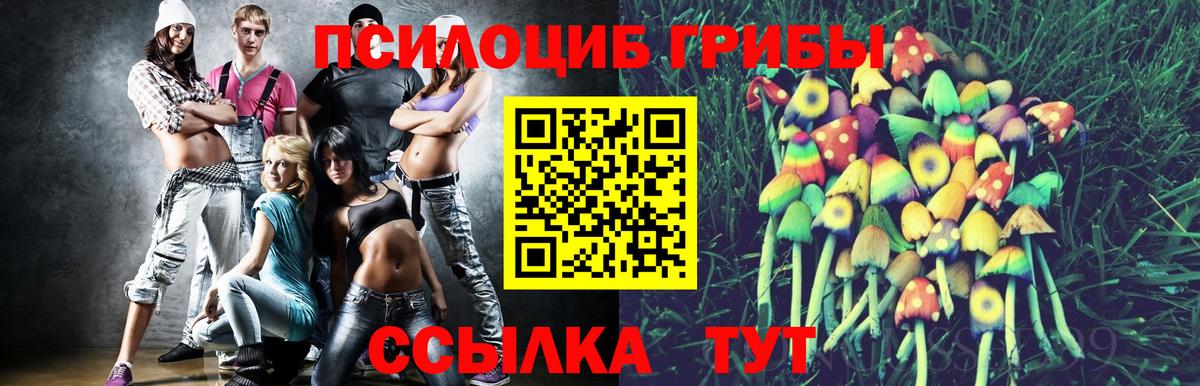 Псилоцибиновые грибы мухоморы Амурск